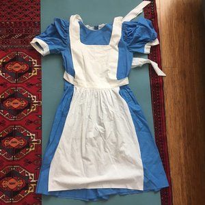 Alice in Wonderland Custom Made Dress